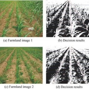 Weed detection in agricultural farm using image processing