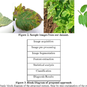 Plant leaf diseases detection and classification