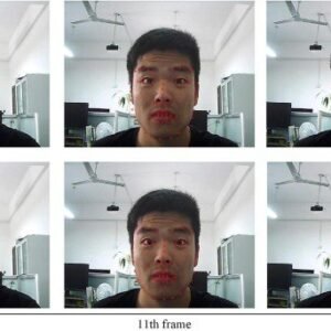 Facial Expression Recognition using Weighted Mixture Deep Neural network Based on Double-channel Facial Images