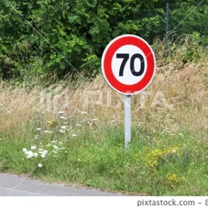 Traffic Sign Recognition