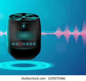 AI-Based Voice Assistant for the Elderly
